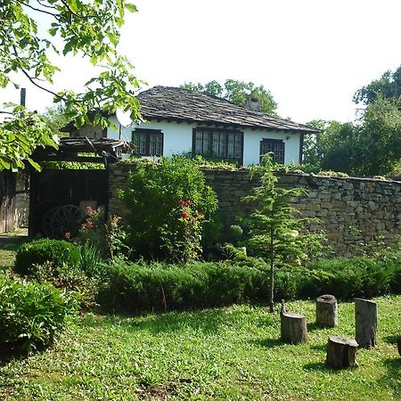 Guesthouse Peyna 外观 照片